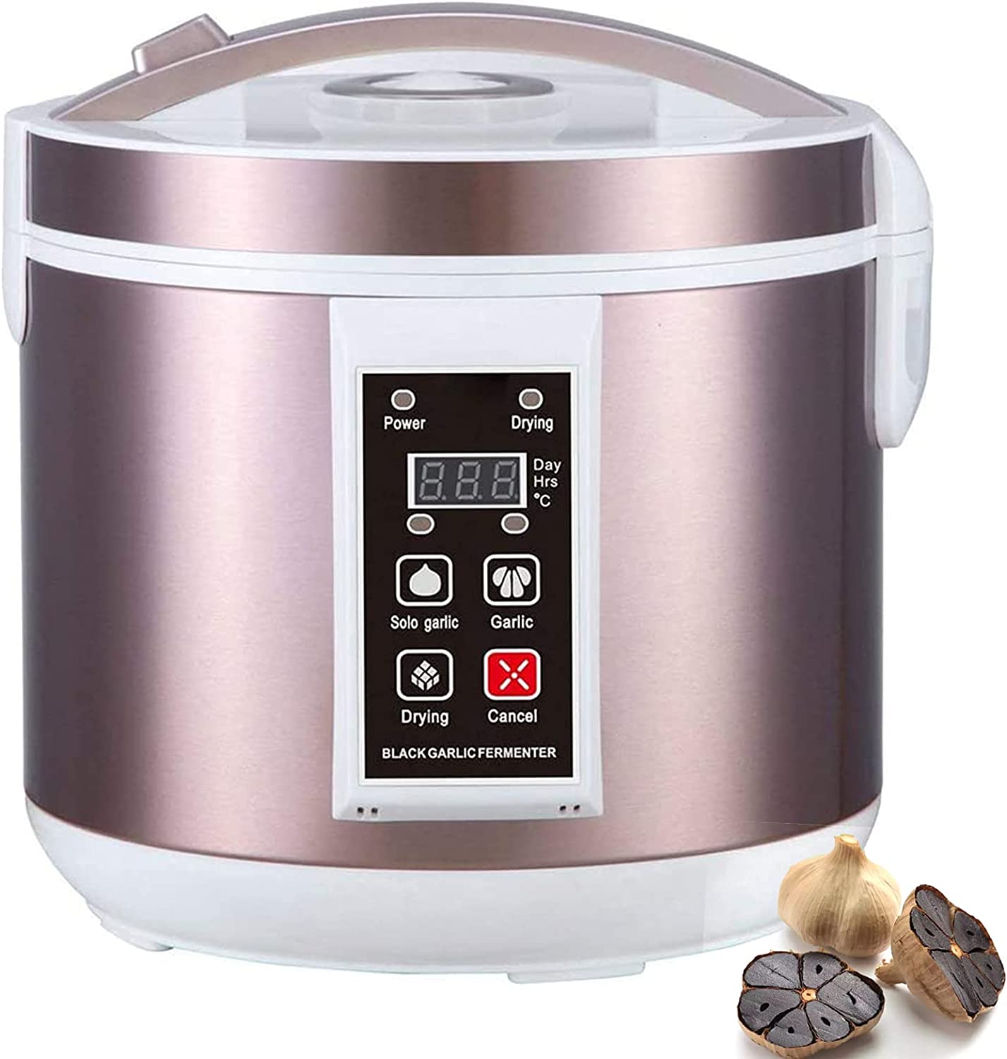 5L Black Garlic Fermenter Full - Diy Electronics Starter Kit ulasan dan harga