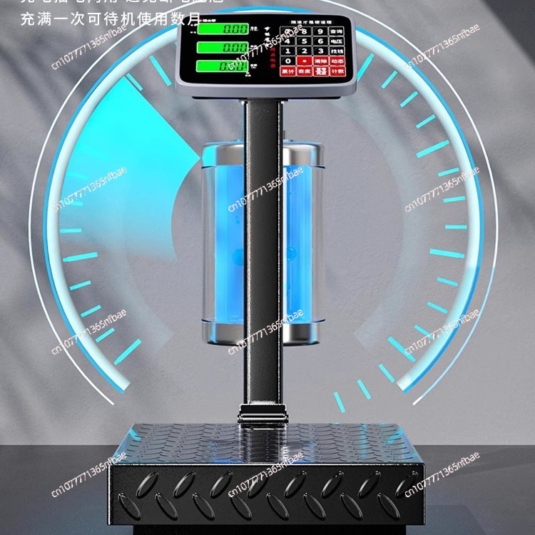 100kg 300kg Electronic Platfor - Diy Electronics Market ulasan dan harga